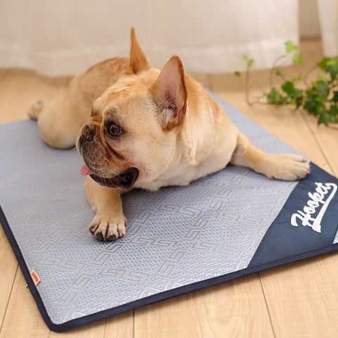 Ice Pad Dog Mat