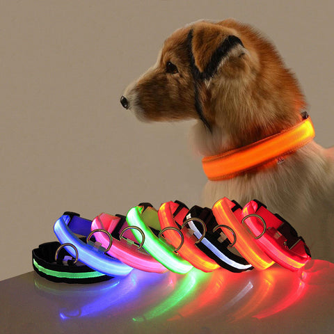 LED Solar Dog Collar