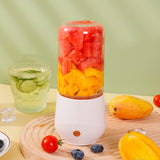 Portable Fruit Juicer